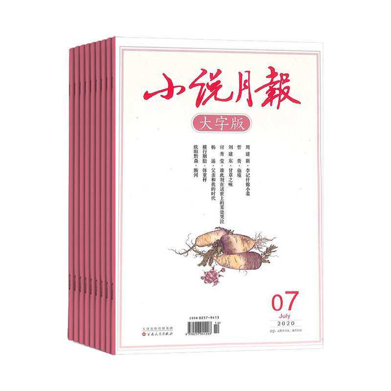 【2025年订阅】小说月报(大字版)杂志1月起订全年12期订阅正版文学文摘小说期刊文学阅读生活感悟散文小说文学期刊心灵鸡汤