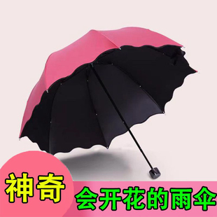 八骨新款 遇水开花雨伞折叠伞小巧便携式 女生晴雨两用防紫外线防晒