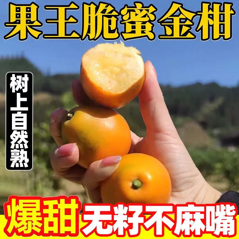 广西融安脆蜜金柑第三代脆蜜金桔小金橘新鲜水果应季当季整箱包邮,水产肉类/新鲜蔬果/熟食,桔子,淘宝优惠券,粉丝福利购,淘宝优惠卷