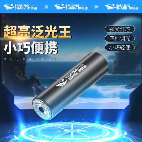 微笑鲨新款迷你随身小手电四档调节便携式户外手电筒ABS轻巧USB充