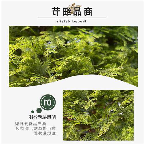 仿真松柏树户外绿化仿真绿植工程装饰水杉树定制各种假树盆栽