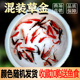 草金鱼活鱼锦鲤鱼苗观赏鱼淡水鱼冷水鱼小型耐活活体小金鱼红草金