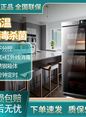 消毒柜家用小型立式台式大容量厨房单门双门消毒烘干一体机