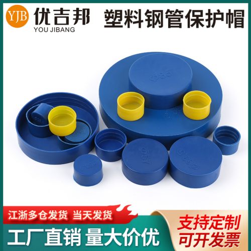 蓝色塑料内螺纹防尘管帽非标定制
