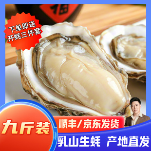 小文哥乳山生蚝贝类海鲜活牡蛎海蛎子烧烤特大肥整箱9斤威海水产