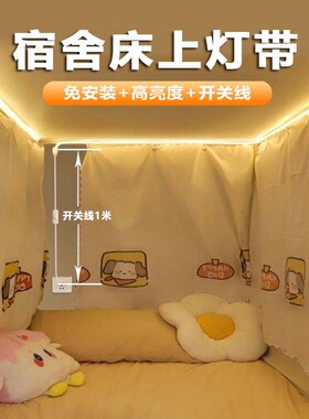 超亮自粘灯带220V带开关插头插电家用床头货架客厅led灯条宿舍灯