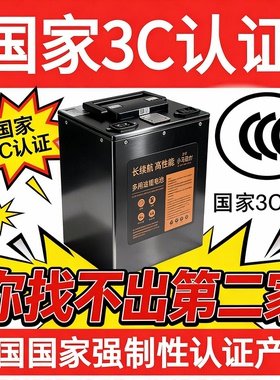 小马动力电动车电池48v锂电池60v72伏三轮电瓶车储能电池大容量