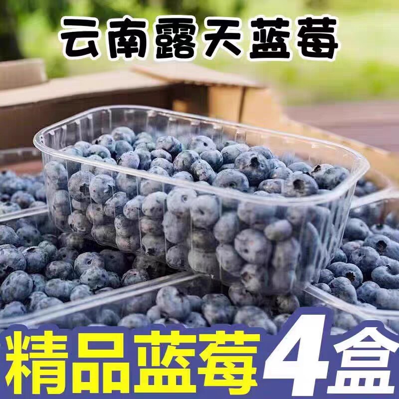 顺丰云南新鲜蓝莓孕妇宝宝辅食酸甜整箱大果4斤高山蓝莓精选蓝莓