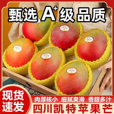 四川凯特苹果芒果彩虹芒新鲜苹果芒果应季水果现摘芒果凯特芒芒果