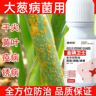 大葱专用杀菌剂灰霉病叶枯病疫病根腐病霜霉病锈病黑斑病紫斑霜霉