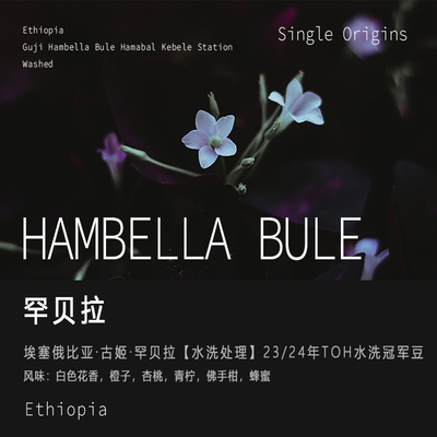 古姬Guji罕贝拉TOH冠军咖啡豆