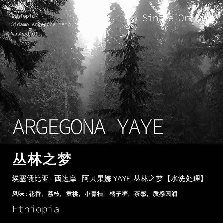 西达摩阿贝果娜水洗手冲单品咖啡