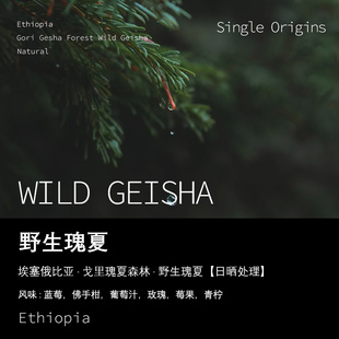 埃塞俄比亚戈里瑰夏森林野生瑰夏Geisha日晒处理咖啡豆手冲单品豆