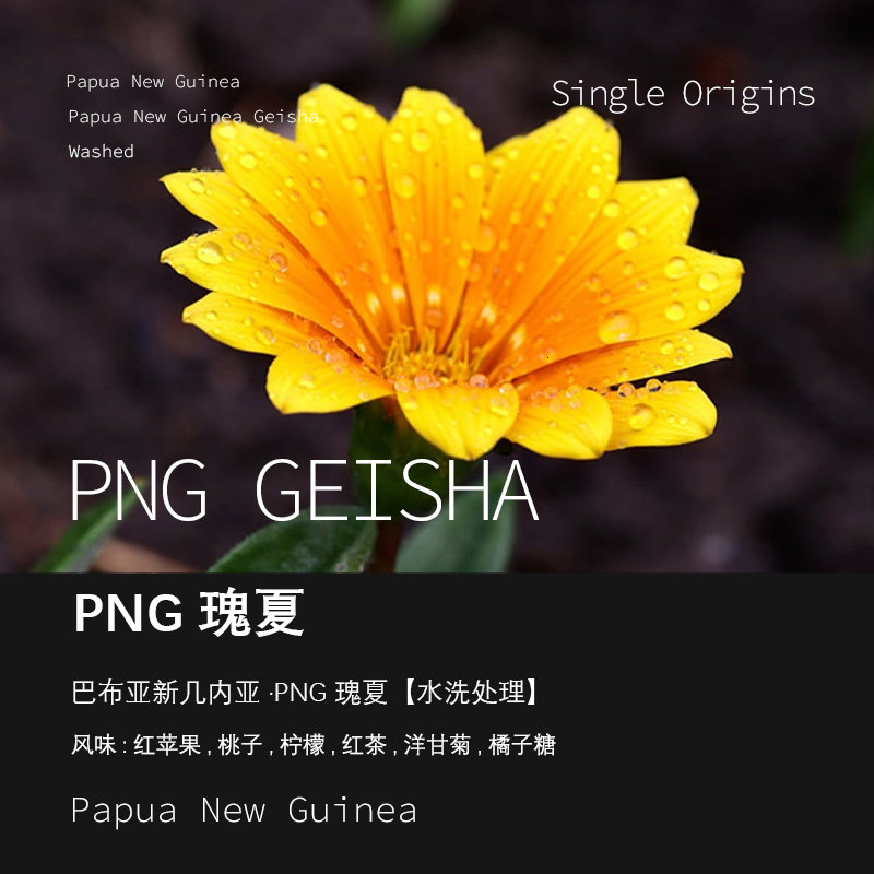 巴布亚新几内亚PNG瑰夏咖啡豆
