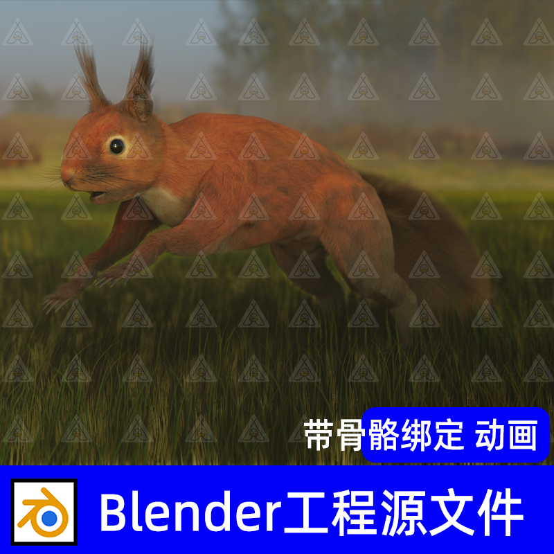 红色松鼠模型骨骼绑定控制器带扑倒动画blender草地灯光渲染场景