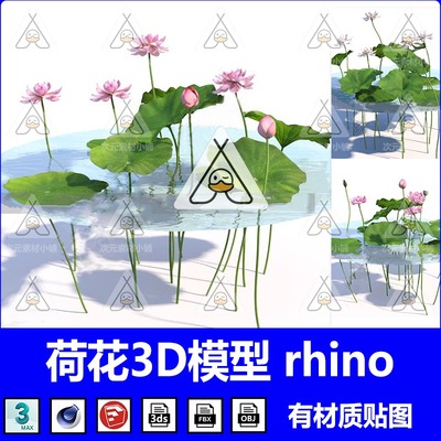 C4D荷叶荷花莲花maya素材犀牛植物OBJ设计3ds/max/FBX建模SU可用