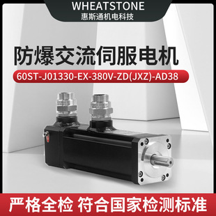 自动化产线防爆交流伺服驱动电机 - 专为高危环境设计
