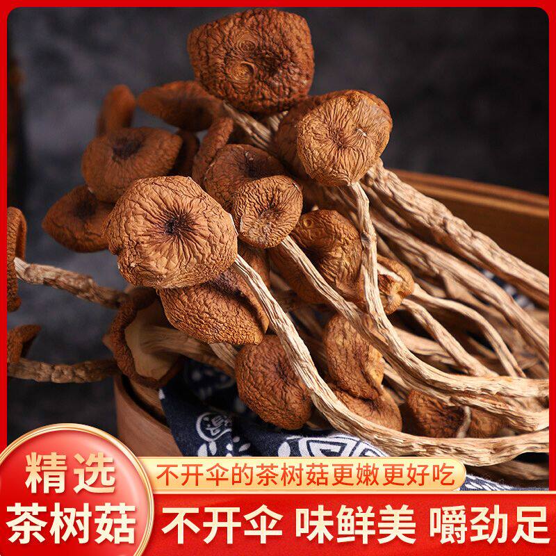 净重不开伞茶树菇干货农家自产新货煲汤佳品香菇当季特产批发