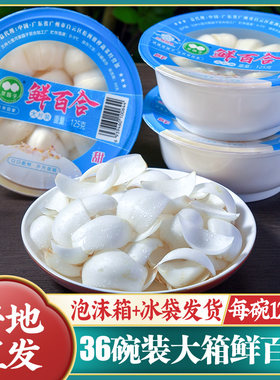 顺丰兰州百合碗装净片