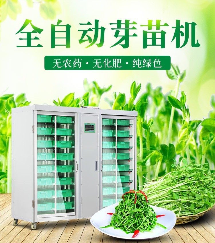 多功能芽苗机全自动商用豌豆豆芽机大容量箱式黄豆绿豆发芽豆苗机