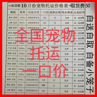 宠物托运服务全国飞机空运宠物空调专车高铁人宠同行拼车一宠一座