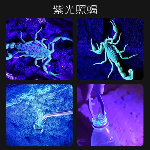 超强新款蝎子灯2023紫光灯强光超亮充电手电筒照明专用灯超长续航