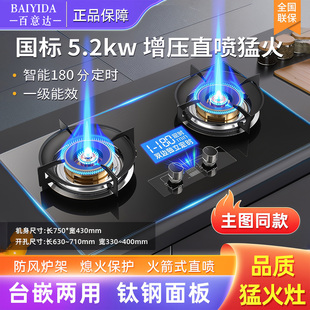 德国正品煤气燃气灶纯铜直喷猛火灶双灶家用天然气液化气台嵌炉具