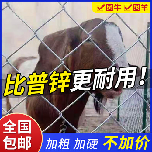【生锈免费送】镀锌铁丝网养殖网