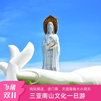 南山文化旅游区一日游