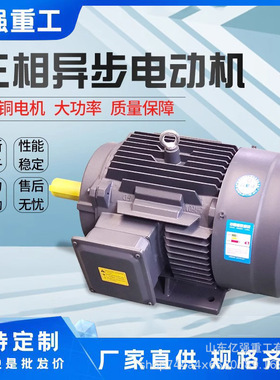 全铜立式电机380v三相2/4/6极马达卧式变频YE3国标三相异步电动机