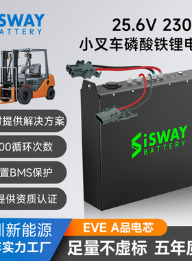 外贸工厂电动叉车磷酸铁锂电池搬运车48伏24V锂电电池组PACK200Ah