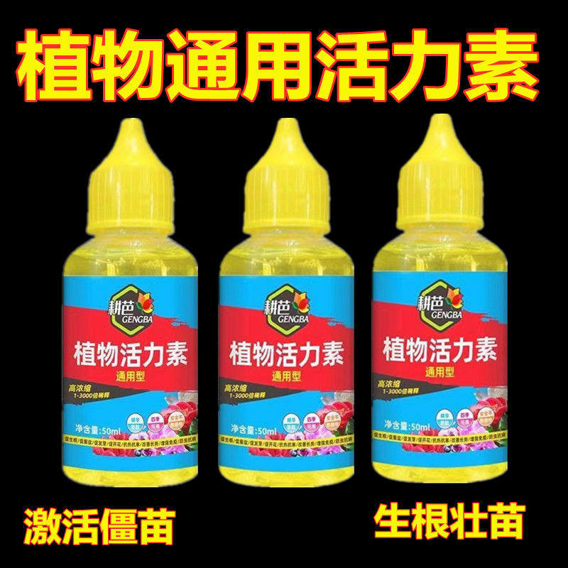 植物活力素养花专用通用型家用快速变活生根剂壮苗发根浓缩营养液,鲜花速递/花卉仿真/绿植园艺,家庭园艺肥料,淘宝优惠券,粉丝福利购,淘宝优惠卷