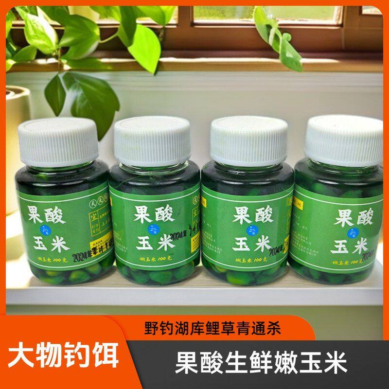 【果酸嫩玉米】钓鱼专用大物野钓湖库青鲤通杀大鱼窝料玉米粒鱼食