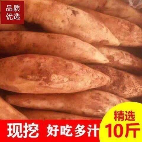 现货现挖云南特级天山黄心雪莲果新鲜水果当季一整箱10斤包邮5斤