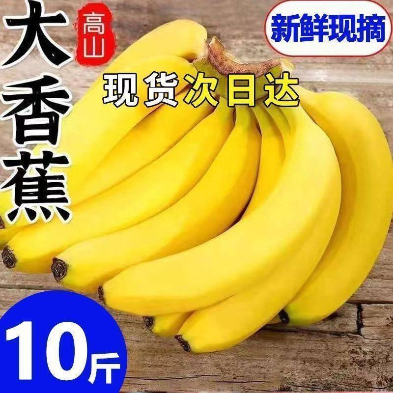 云南高山香蕉9斤新鲜当季水果整箱大芭蕉叶小米蕉甜香焦自然熟香