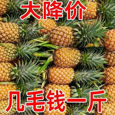 云南香水菠萝山地菠萝新鲜当应季叶酸水果小凤梨3/5/10斤整箱包邮