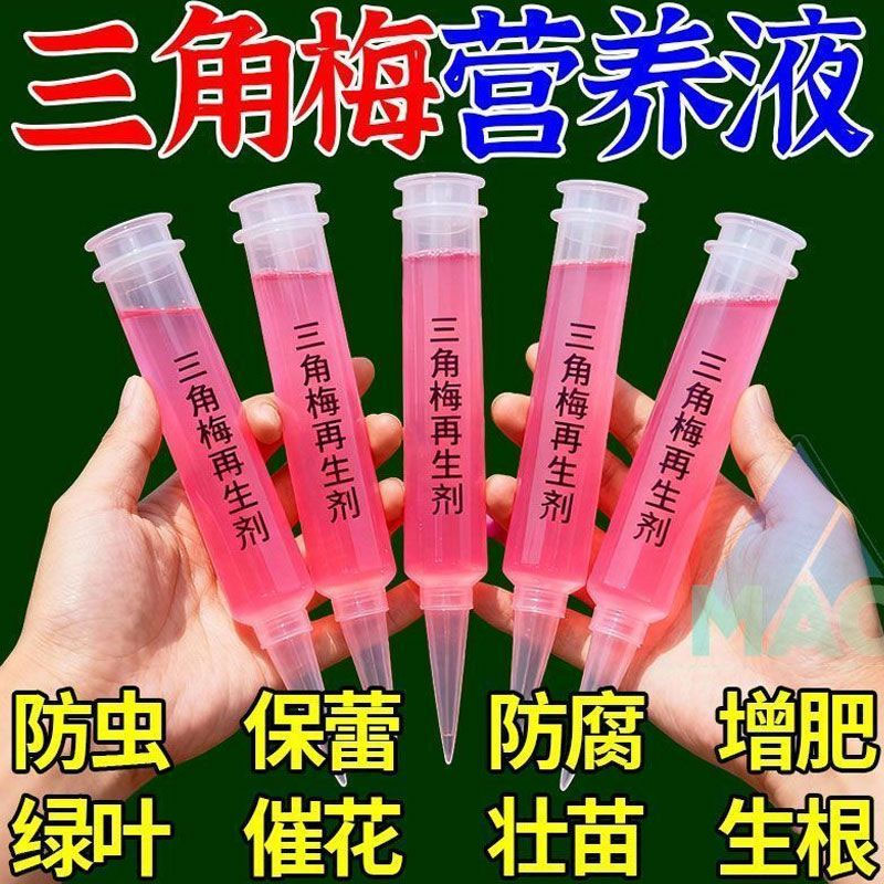 三角梅植物再生剂免稀释营养液绿植花卉盆栽水溶肥料家庭园艺肥料
