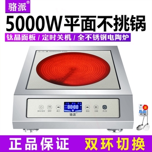 骆派商用电陶炉5000w平面家用大电磁炉4000W爆炒瓦煲汤不挑锅功率