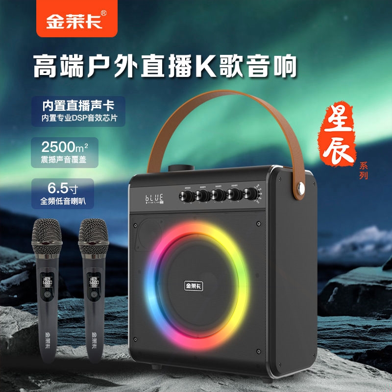 乐器专用音响直播声卡蓝牙音箱户