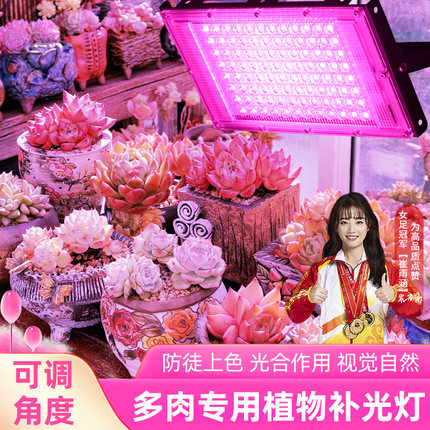 粉光紫光白光led植物生长灯全光谱补光多肉大棚蔬菜花卉育苗蔬果