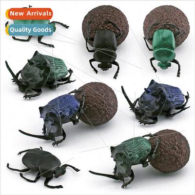 mulation wild insects animals dung beetle model beetle dung