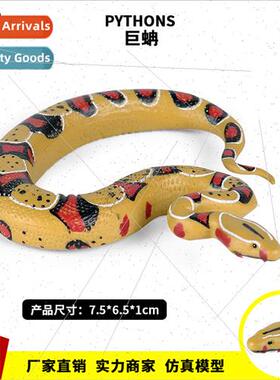 Amphibious reptile children compulsion toys static boa pytho