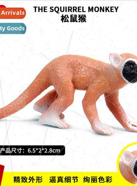 Plastic toys wild animal model mini squirrel monkey zoo monk