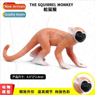 Plastic toys wild animal model mini squirrel monkey zoo monk