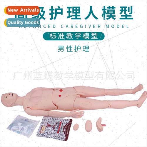 Multifunctional nursing training medical mannequin model men