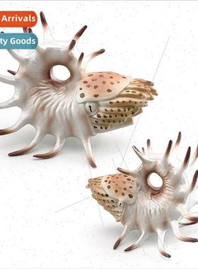 solid hollow ridge nautilus fish tank decorations aquascape