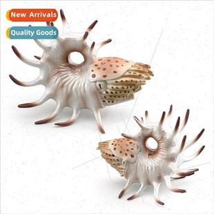 solid hollow ridge nautilus fish tank decorations aquascape