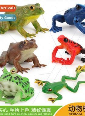 Creative rainest e frog American bullfrog frog model PVC sta