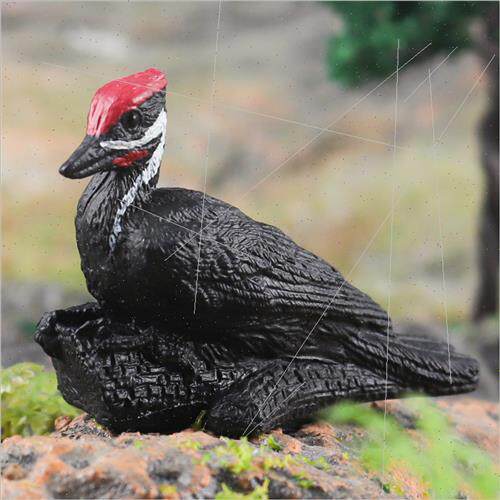 mulation large phoenix head? Bonded quail Longli Baishui ol