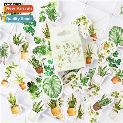 Boxed Stickers Green Oxygen fe Creative Fresh Handbook Decor